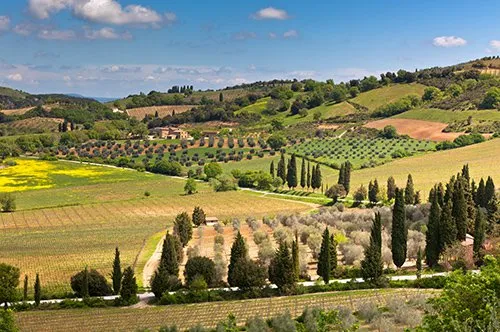 Chianti Passeio Guiado